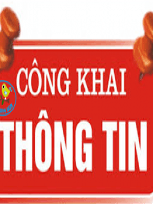 Công khai tài chính ngày 22/4/2021